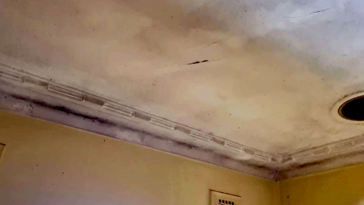 Zest Property Services - Termite Control - Hills District in Sydney