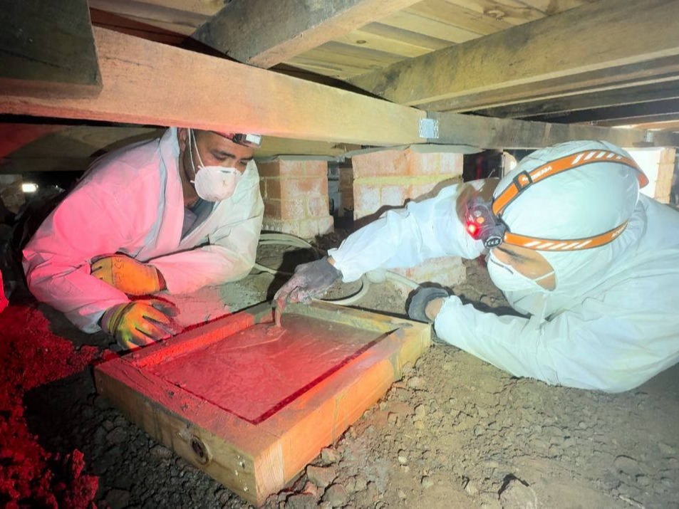 Zest_Property_Services_Maintenance - Termite Control - Hills District of Sydney
