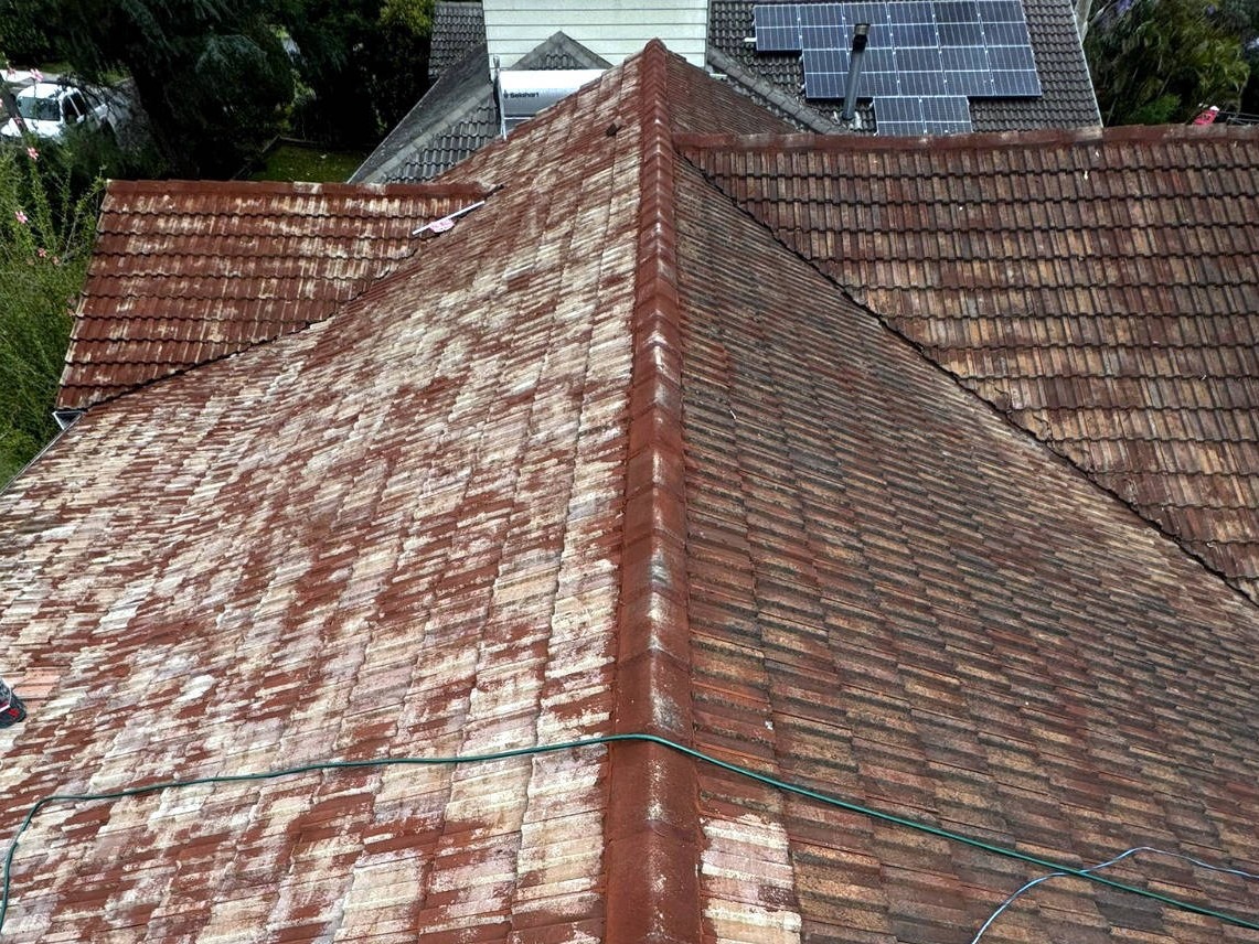 Zest_Property_Services_Maintenance - Termite Control - Hills District of Sydney