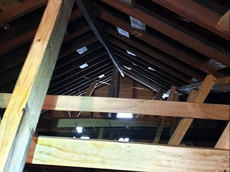 Zest_Property_Services_Maintenance - Termite Control - Hills District of Sydney